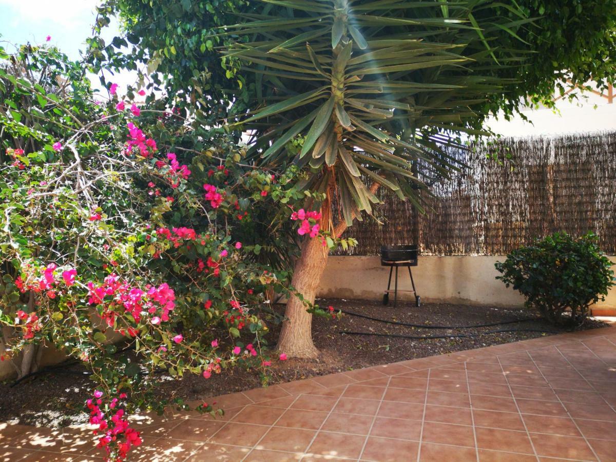 Casa Silencio, Villa With Terrace, Garden And Large Pool Area コラレホ エクステリア 写真